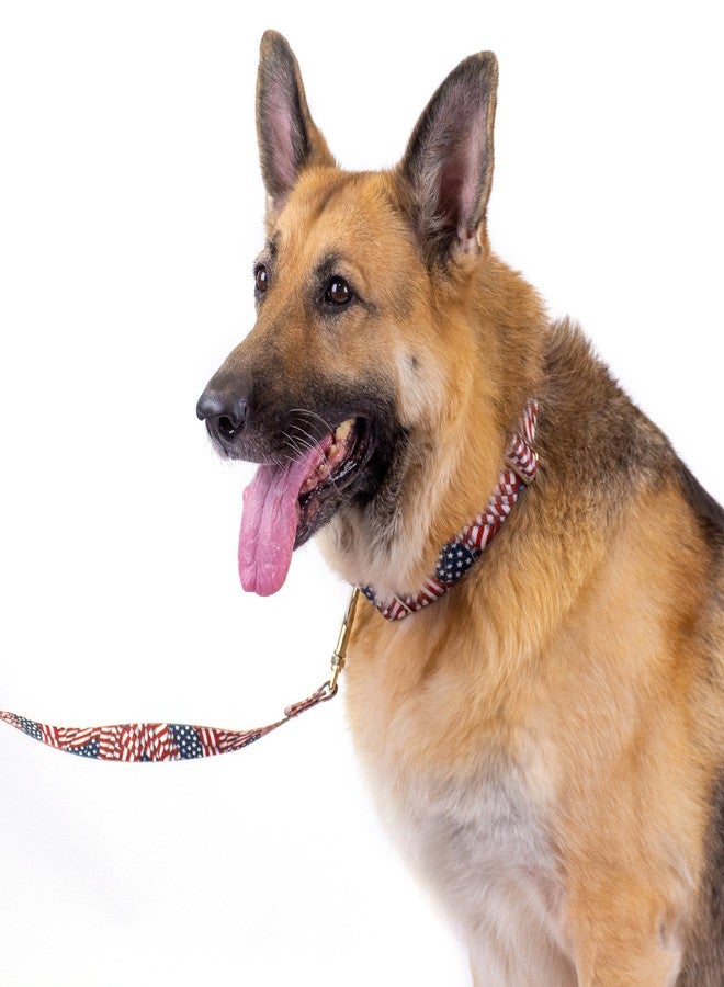 كانتري بروك ديزاين طوق ومقود للكلاب من Country Brook Petz - مجموعة Americana التي تتميز بتصاميم وطنية (1 بوصة، متوسط) - Image 3